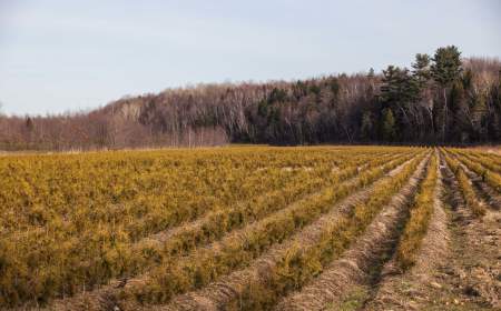 Protection et mise en valeur des berges et bandes riveraines PHASE I